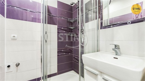 Pronájem bytu 2+1, 55 m² 8