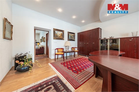 Prodej rodinného domu, 379 m² - 10