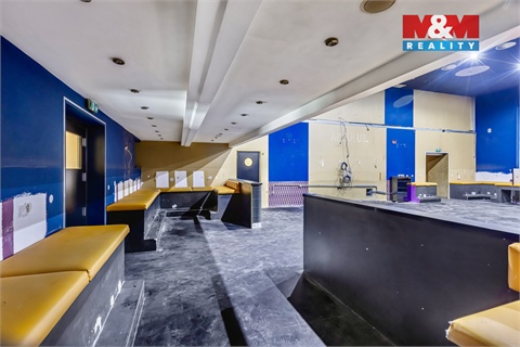 Pronájem obchodních prostor, 289 m² - 0