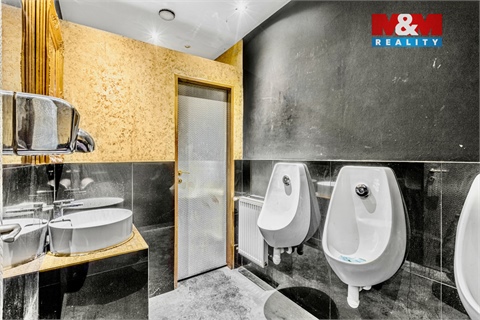 Pronájem obchodních prostor, 289 m² - 20