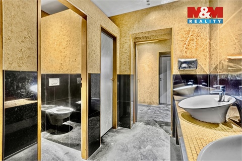 Pronájem obchodních prostor, 289 m² 18