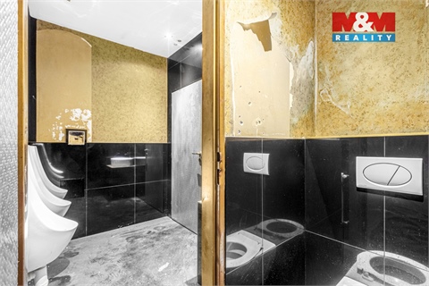 Pronájem obchodních prostor, 289 m² 20