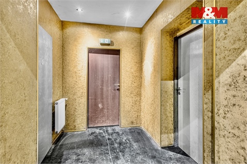 Pronájem obchodních prostor, 289 m² - 18