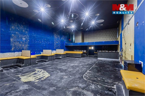 Pronájem obchodních prostor, 289 m² 6