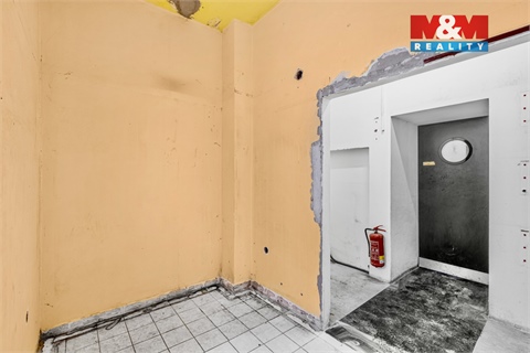 Pronájem obchodních prostor, 289 m² - 26