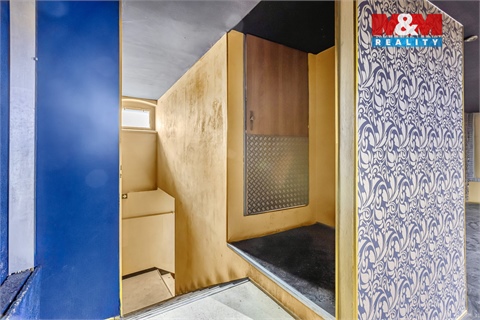 Pronájem obchodních prostor, 289 m² - 14