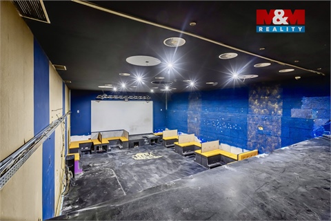 Pronájem obchodních prostor, 289 m² - 16