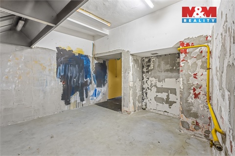 Pronájem obchodních prostor, 289 m² - 12