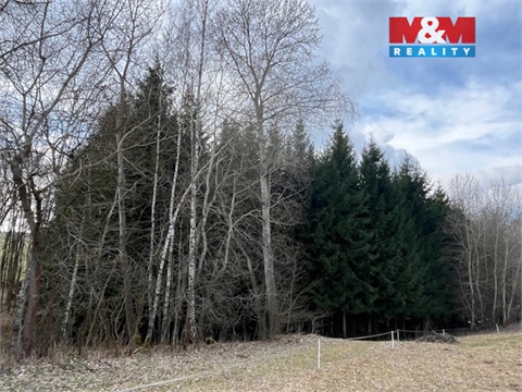 Prodej lesu, 4 244 m² - 6