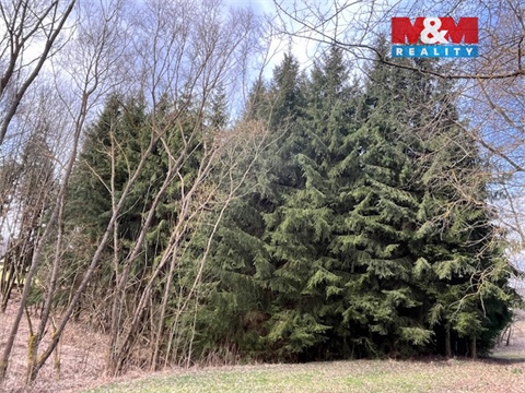 Prodej lesu, 4 244 m² - 0