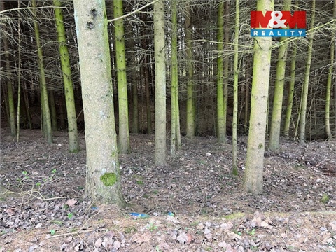 Prodej lesu, 4 244 m² - 2