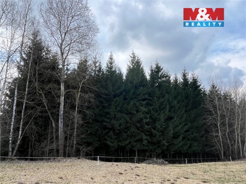 Prodej lesu, 4 244 m² 2