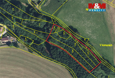 Prodej lesu, 4 244 m² 4