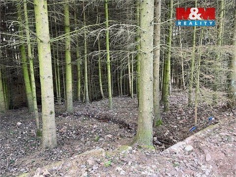 Prodej lesu, 4 244 m² - 4