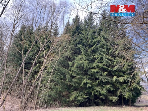 Prodej lesu, 4 244 m² 6