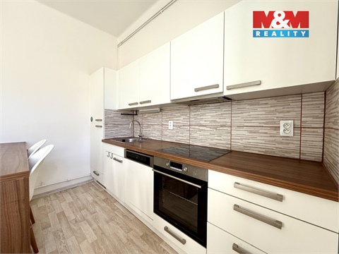 Pronájem bytu 1+1, 48 m² 2