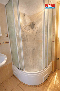 Pronájem bytu 1+1, 38 m² 12