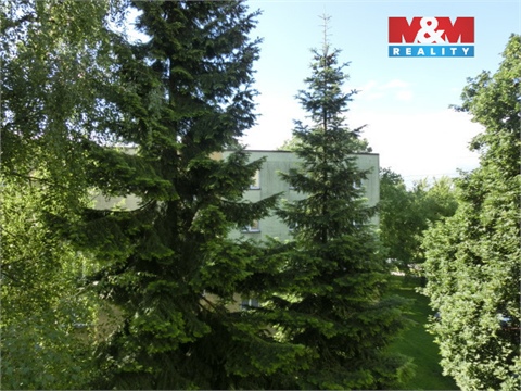 Pronájem bytu 2+1, 55 m² - 12