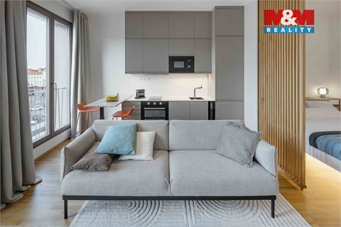 Pronájem bytu 1kk, 38 m² - 4