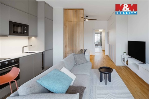 Pronájem bytu 1kk, 38 m² 4