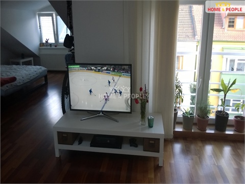 Pronájem bytu 1kk, 50 m² 20