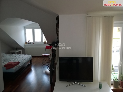 Pronájem bytu 1kk, 50 m² 16