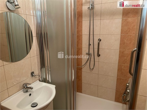 Pronájem bytu 3+1, 70 m² - 10