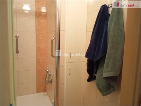 Pronájem bytu 3+1, 70 m² 12