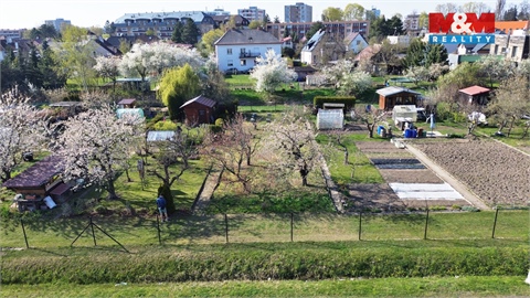 Prodej zahrady, 300 m² - 14