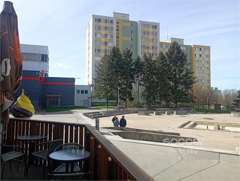 Pronájem bytu 3+1, 65 m² 6