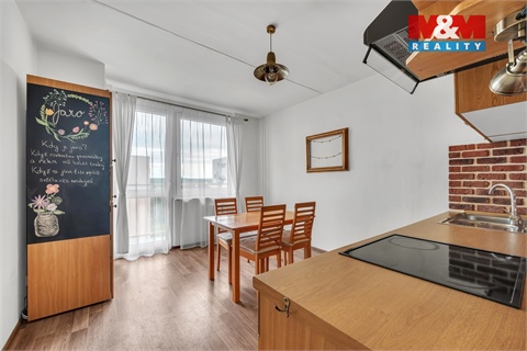 Pronájem bytu 1+1, 49 m² - 12