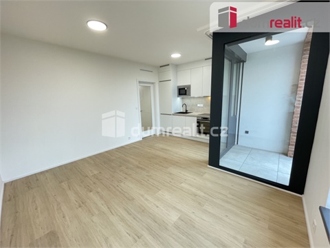 Pronájem bytu 1kk, 32 m² 4