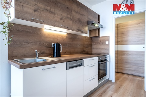 Prodej bytu 3+1, 62 m² 14