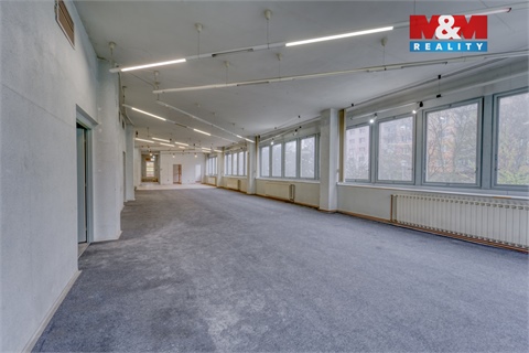 Pronájem obchodních prostor, 641 m² - 4