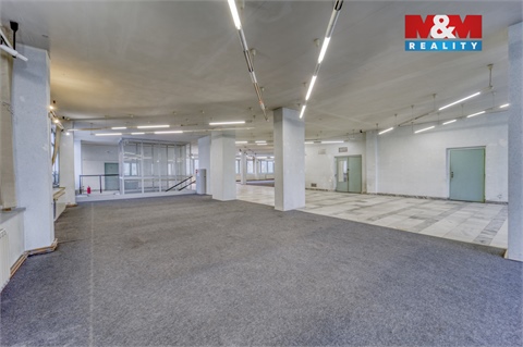 Pronájem obchodních prostor, 641 m² - 2