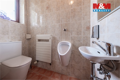 Pronájem rodinného domu, 232 m² - 22