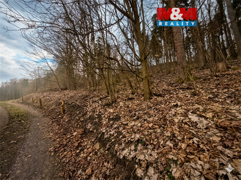 Prodej lesu, 1 939 m² 0