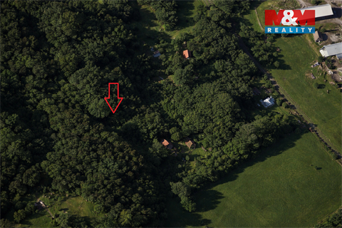 Prodej lesu, 1 939 m² 2