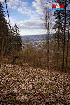 Prodej lesu, 1 939 m² - 0