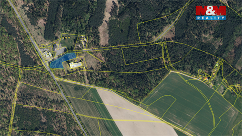 Prodej lesu, 3 807 m² - 2