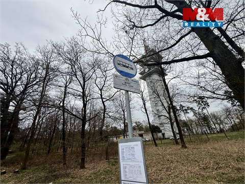 Prodej lesu, 3 807 m² 12