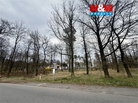 Prodej lesu, 3 807 m² 0