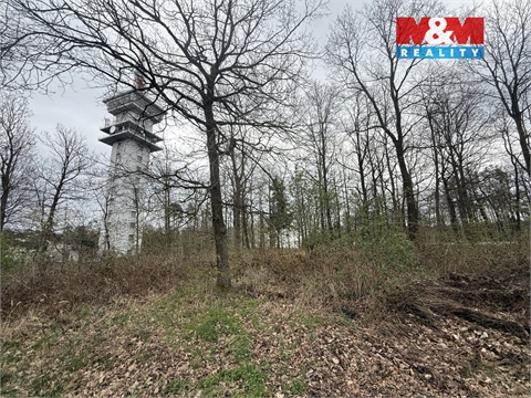 Prodej lesu, 3 807 m² - 10