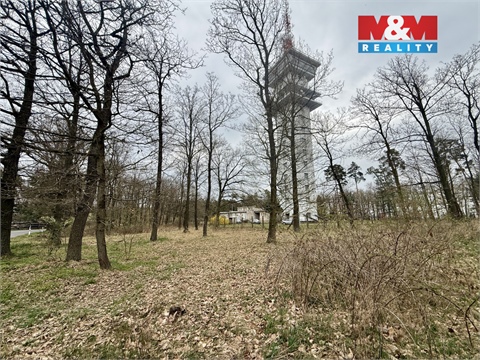 Prodej lesu, 3 807 m² 6