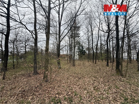 Prodej lesu, 3 807 m² - 6