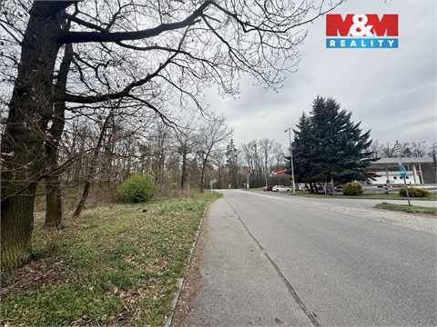 Prodej lesu, 3 807 m² - 0