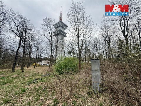 Prodej lesu, 3 807 m² 8