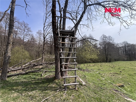 Prodej louky, 545 m² 2