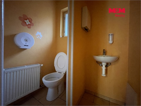 Pronájem obchodních prostor, 70 m² 8