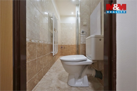 Pronájem bytu 2+1, 60 m² 20